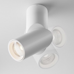 Adjustable LED Spotlight Dafne 3000K (10W)