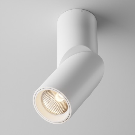Adjustable LED Spotlight Dafne 3000K (10W)