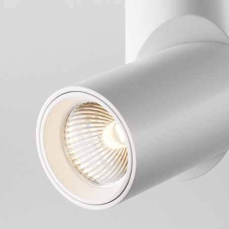 Adjustable LED Spotlight Dafne 3000K (10W)