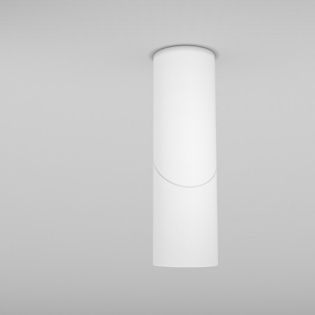Adjustable LED Spotlight Dafne 3000K (10W)