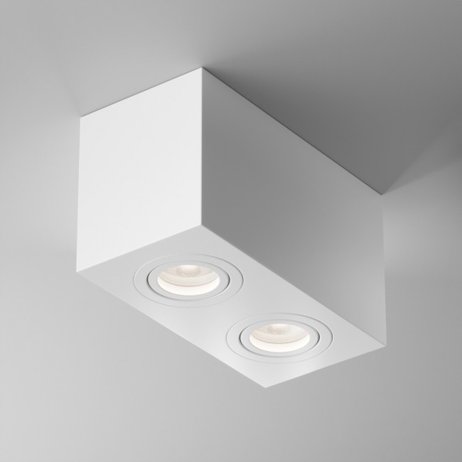 Ceiling Flush Light Atom (2 lights)