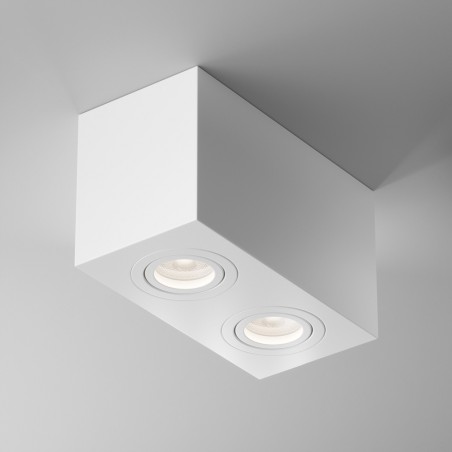 Ceiling Flush Light Atom (2 lights)