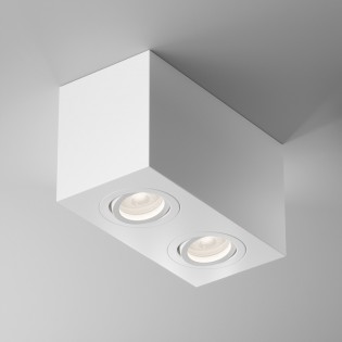 Ceiling Flush Light Atom (2 lights)