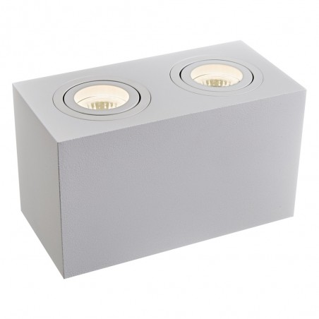Ceiling Flush Light Atom (2 lights)