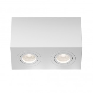 Ceiling Flush Light Atom (2 lights)