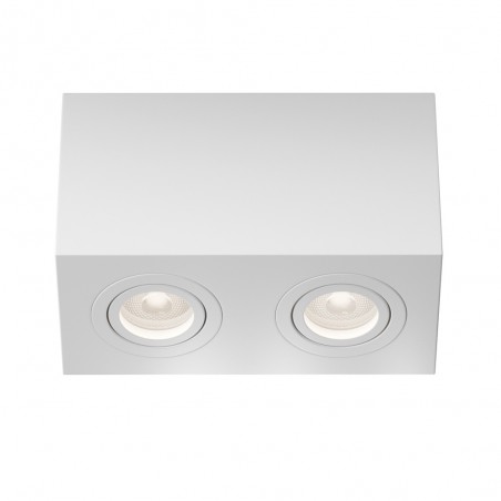 Ceiling Flush Light Atom (2 lights)