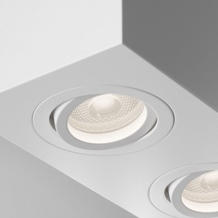 Ceiling Flush Light Atom (2 lights)
