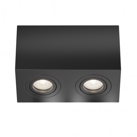 Ceiling Flush Light Atom (2 lights)