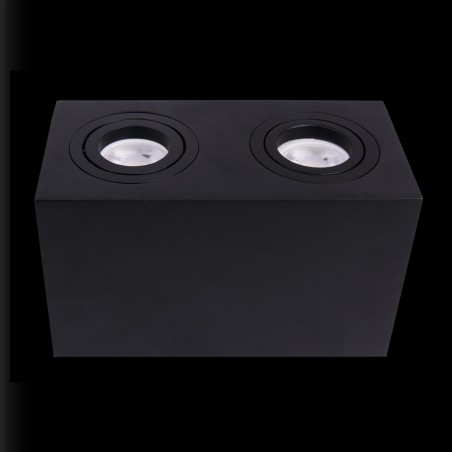 Ceiling Flush Light Atom (2 lights)