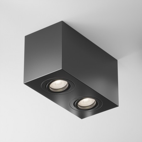 Ceiling Flush Light Atom (2 lights)