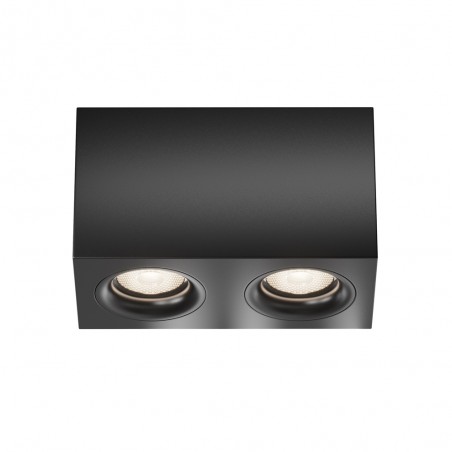 Ceiling Flush Light Slim (2 lights)