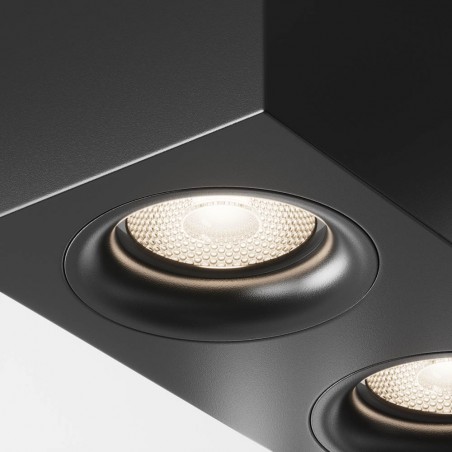 Ceiling Flush Light Slim (2 lights)