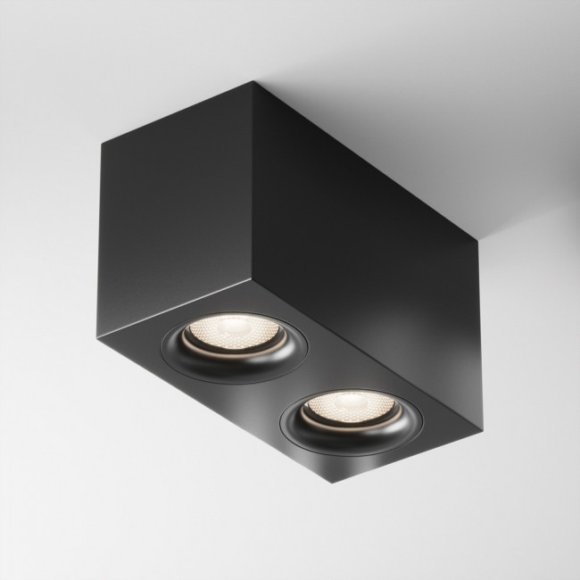 Ceiling Flush Light Slim (2 lights)