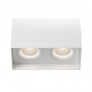 Ceiling Flush Light Slim II (2 lights)