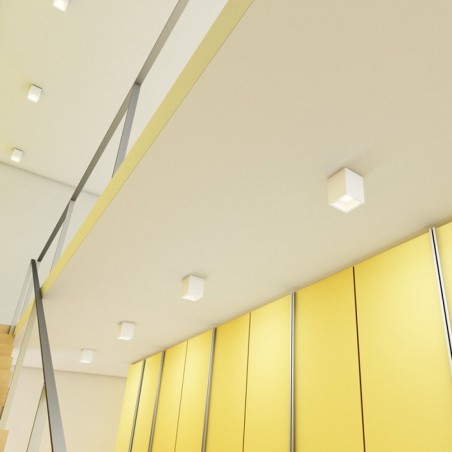 Flush light Jack