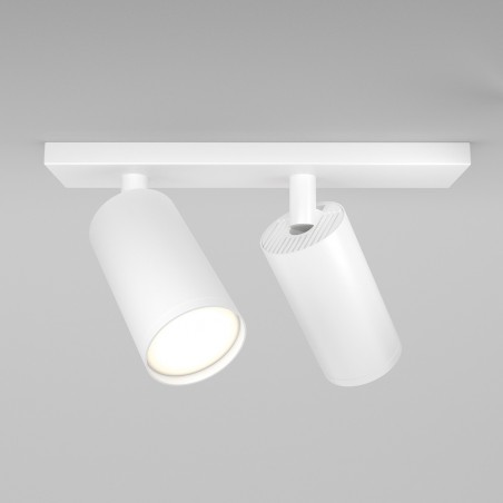 Spotlights Track Lamp Focus S II (2 lights)