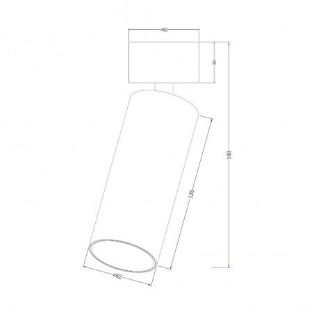 Adjustable ceiling spotlight Focus LED (12W)