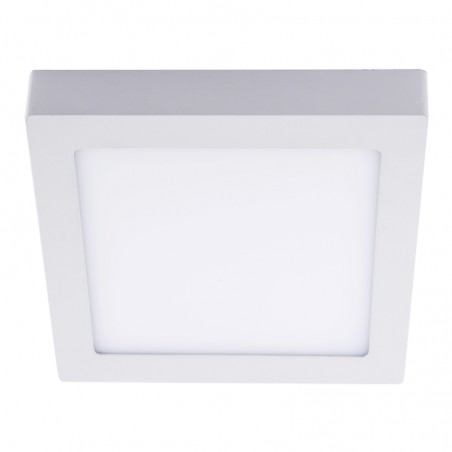 LED Ceiling Flush Light Know (30W)