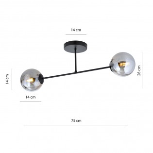 Ceiling Flush Lamp Nicolo Graphite (2 lights)