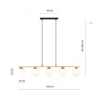 Pendant Lamp Etisa Black (5 lights)