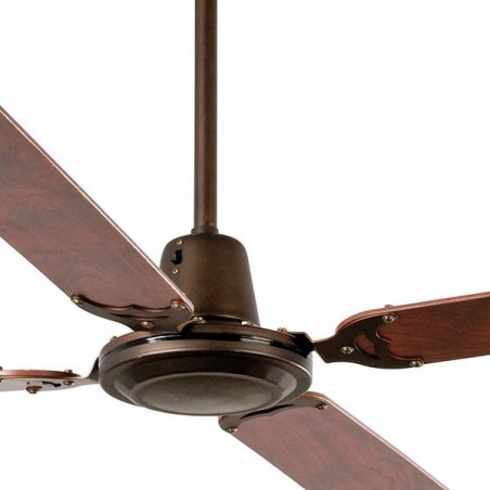 Ceiling Fan Malvinas