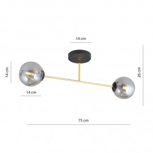 Ceiling Flush Light Mendra Graphite (2 lights)