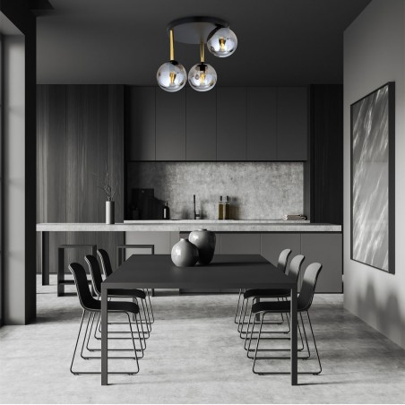 Ceiling Flush Lamp Telpa Graphite (3 lights)