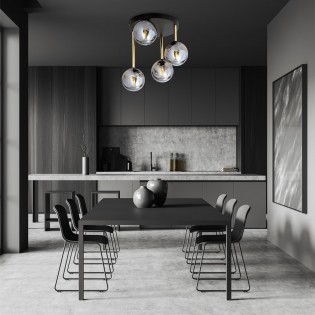 Ceiling Flush Lamp Telpa Graphite (4 lights)