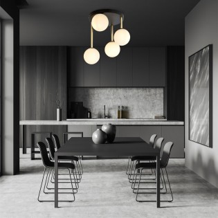 Ceiling Flush Lamp Telpa Opal (4 lights)