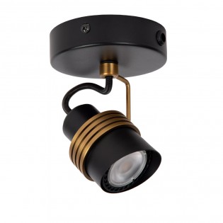 Adjustable Spotlight Tundran