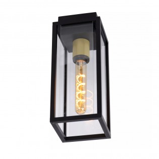 Outdoor Ceiling Flush Light Laurens