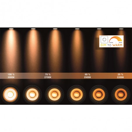 Ceiling LED Spotlight Fedler Round (12W)