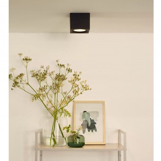 Ceiling LED Spotlight Fedler Square (12W)