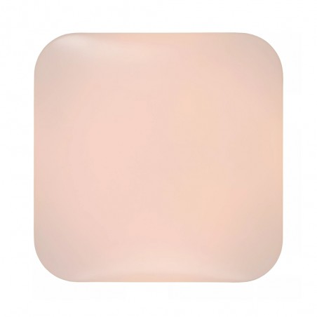 LED Ceiling Flush Light Otis Square (32W)