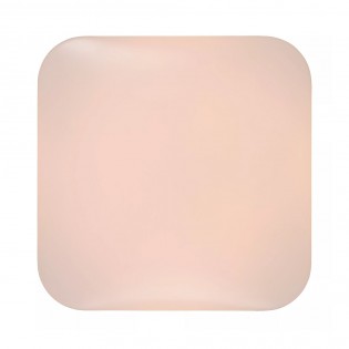 LED Ceiling Flush Light Otis Square (42W)