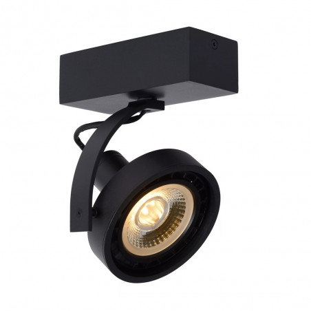 LED Ceiling Spotlight Dorian (12W)
