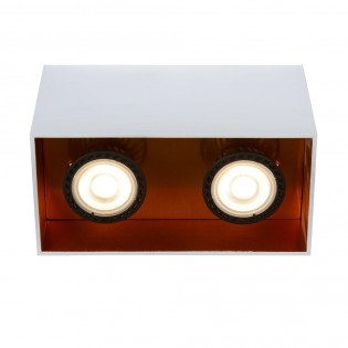 Ceiling Flush Light Bido (2 lights)