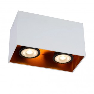 Ceiling Flush Light Bido (2 lights)