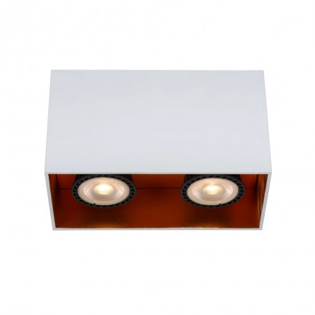 Ceiling Flush Light Bido (2 lights)