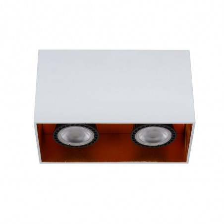 Ceiling Flush Light Bido (2 lights)