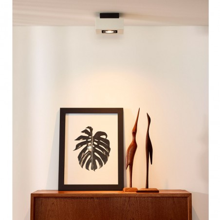 LED Ceiling Flush Light Xirax (5W)