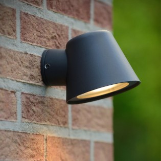 Outdoor Wall Lamp Dingo LED (5W)