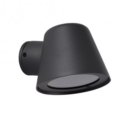 Outdoor Wall Lamp Dingo LED (5W)