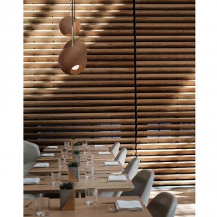Pendant Lamp Terra