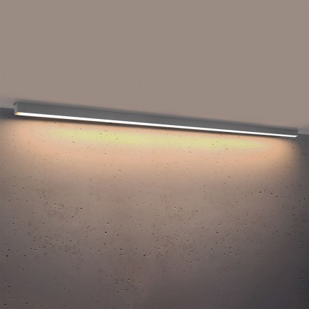 Flush light LED Pinne (50W) III