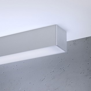 Flush light LED Pinne (50W) III