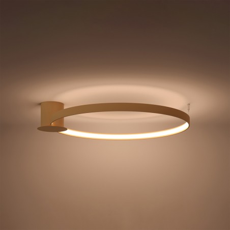 Flush light LED Rio Oro (50W)