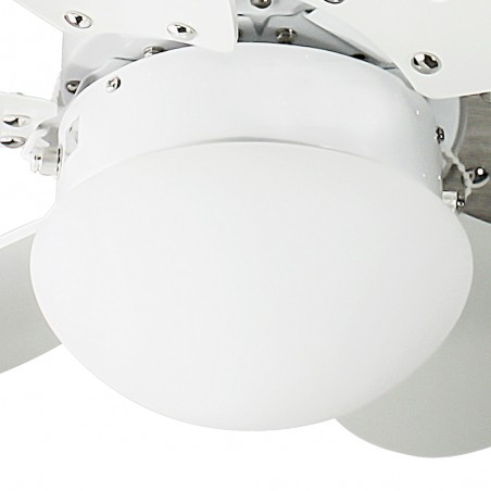 Recambio tulipa de cristal ventilador Tauro