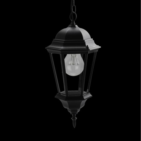 Lámpara colgante exterior Regulus