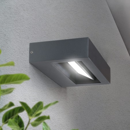 Outdoor LED Wall Lamp Cipri (12W)